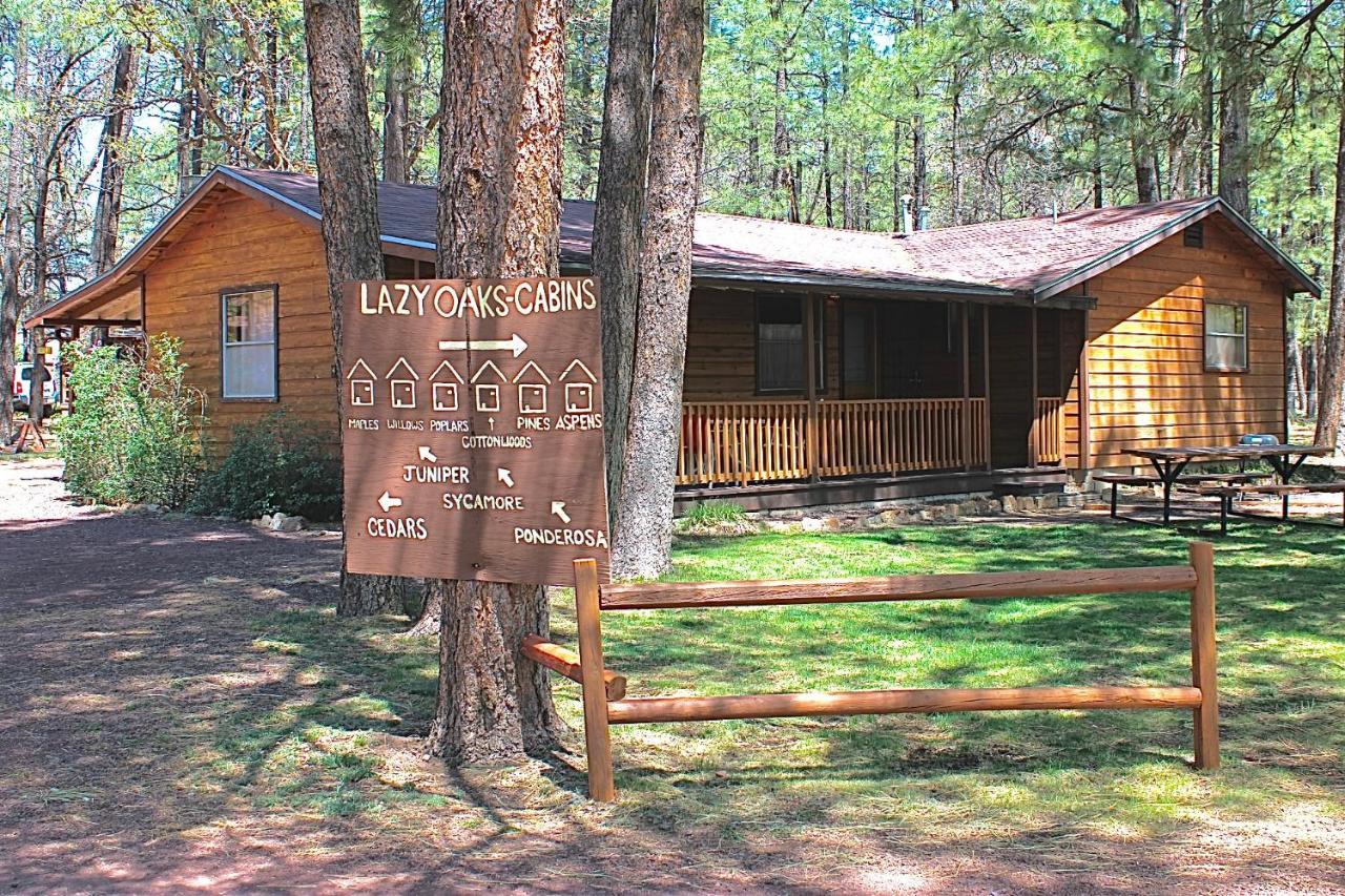 Lazy Oaks Resort 파인톱-호변 외부 사진